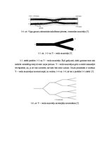 Diplomdarbs 'Optisko sazarotāju darbības principi un veidi', 38.