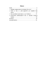 Referāts 'Realitātes modelis Andras Neiburgas stāstu krājumā "Stum, stum"', 2.