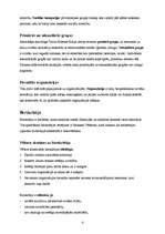 Konspekts 'Ievads socioloģijā: grupas un organizācijas, etniskās grupas un minoritātes', 4.