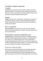 Konspekts 'Ievads socioloģijā: grupas un organizācijas, etniskās grupas un minoritātes', 6.