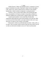 Referāts 'Juridiska persona un fiziska persona', 3.