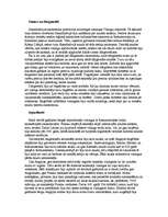 Konspekts 'Vikingu nauda', 1.