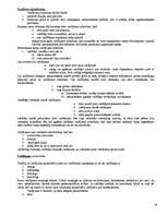 Konspekts 'Tiesības', 16.