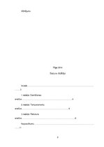 Konspekts 'Pašizpētes darbs', 2.