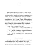 Konspekts 'Pašizpētes darbs', 4.