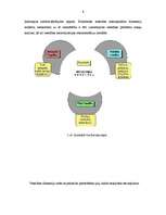 Referāts 'Vides ētika ', 6.