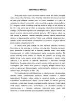 Referāts 'Mākslas stils, antīkā kultūra - Senā Grieķija', 3.