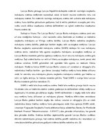 Referāts 'Bezskaidras naudas maksāšanas līdzekļu attīstība Latvijā', 7.