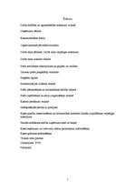 Prakses atskaite 'Kvalifikācijas prakses atskaite', 2.