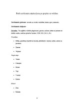 Prakses atskaite 'Kvalifikācijas prakses atskaite', 12.