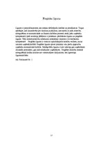 Prakses atskaite 'Kvalifikācijas prakses atskaite', 17.