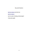 Prakses atskaite 'Kvalifikācijas prakses atskaite', 33.