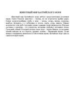 Konspekts 'Балтийское море', 6.