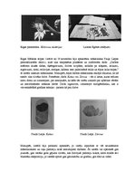 Eseja 'Mākslas galerijas analīze', 4.