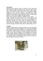 Referāts 'Šinšilas', 3.