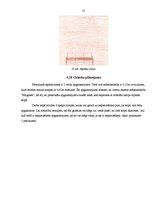 Referāts 'Skolotāju telpas vizuālā noformējuma maiņa', 21.