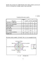 Referāts 'Uzņēmuma mārketinga vides un stratēģijas analīze un darbības plānošana', 9.