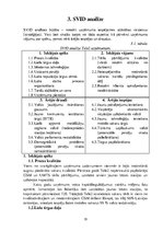 Referāts 'Uzņēmuma mārketinga vides un stratēģijas analīze un darbības plānošana', 19.