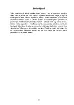 Referāts 'Uzņēmuma mārketinga vides un stratēģijas analīze un darbības plānošana', 33.