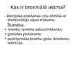 Prezentācija 'Bronhiālās astmas ārstēšana un rehabilitācija', 3.