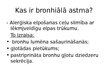 Prezentācija 'Bronhiālās astmas ārstēšana un rehabilitācija', 3.