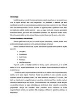 Referāts 'Jauniešu karjeras attīstības pakalpojumu pilnveidošana', 3.