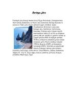 Referāts 'Vituss Berings', 2.