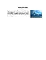 Referāts 'Vituss Berings', 4.