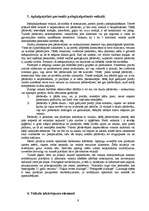 Referāts 'Mazumtirdzniecības organizācija Latvijas tirgū', 9.