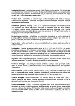 Konspekts 'Vēstures termini', 3.