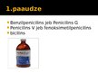 Prezentācija 'Penicilīni', 4.