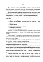 Referāts 'Uzņēmuma "Sāga" saimnieciskās darbības finanšu analīze', 2.