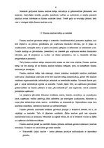 Referāts 'Uzņēmuma "Sāga" saimnieciskās darbības finanšu analīze', 5.