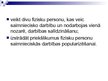 Prezentācija 'Fiziskas personas grāmatvedības uzskaite un nodokļi', 4.