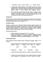 Konspekts 'Reorganizācija uzņēmumā "X"', 4.