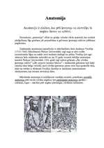 Referāts 'Anatomija', 2.