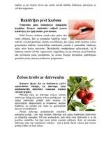 Referāts 'Anatomija', 6.