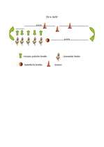 Konspekts '9.klases ieskaite sportā - stafete', 2.