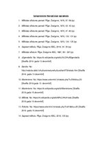 Referāts 'Referāts filosofijā', 17.