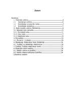 Referāts 'Fizikālā materiālzinība', 2.