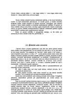 Referāts 'Fizikālā materiālzinība', 10.