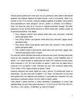 Biznesa plāns 'Picērijas biznesa plāns', 5.