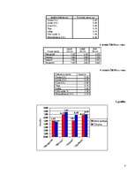 Biznesa plāns 'Picērijas biznesa plāns', 8.