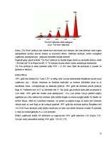 Biznesa plāns 'Picērijas biznesa plāns', 13.