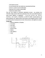 Biznesa plāns 'Picērijas biznesa plāns', 15.