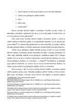 Diplomdarbs 'Muitas kontroles tehnisko līdzekļu piemērošanas analīze Muitas kontroles punktā ', 20.