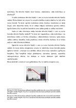 Diplomdarbs 'Muitas kontroles tehnisko līdzekļu piemērošanas analīze Muitas kontroles punktā ', 28.