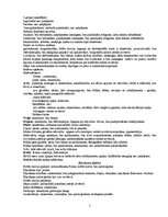 Prakses atskaite 'Pacienta slimības vēsture', 5.