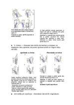 Referāts 'Gūžas locītavas artroze - koksartroze', 4.