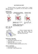 Referāts 'Gūžas locītavas artroze - koksartroze', 6.